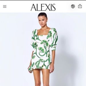 Worn once - Alexis San Paolo Dress